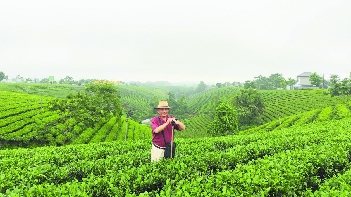 Trà Thái Nguyên, danh thơm đệ nhất