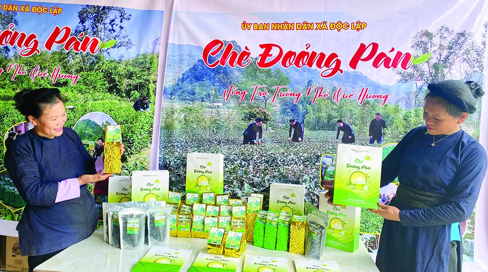Chè Đoỏng Pán ngát hương thơm vị miền non nước