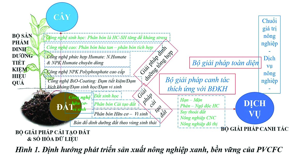 Phân Bón Cà Mau đồng hành cùng nông nghiệp xanh, bền vững