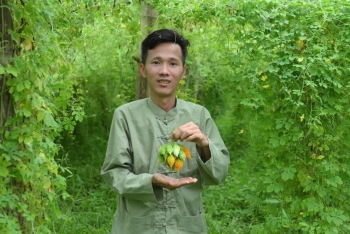 "Ước mơ xanh" và hành trình "gieo mầm" dược liệu của chàng kỹ sư Tày
