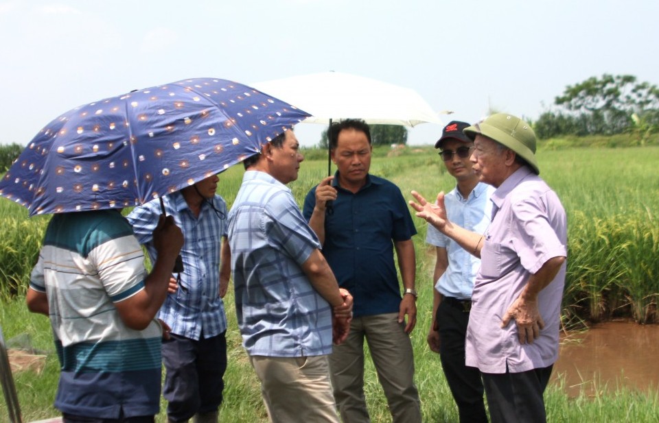 Đào tạo làm động lực thúc đẩy nông nghiệp hữu cơ phát triển