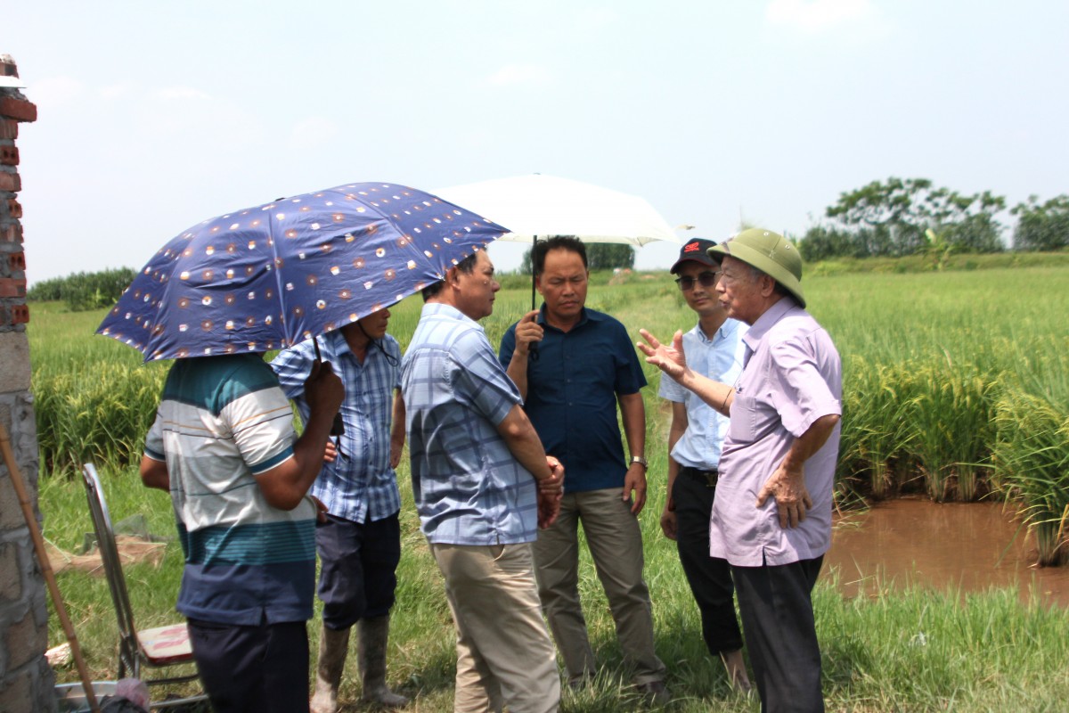Đào tạo làm động lực thúc đẩy nông nghiệp hữu cơ phát triển