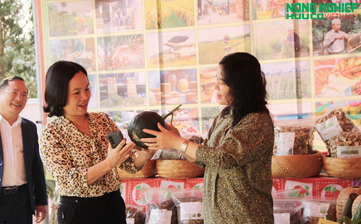 Nghệ An tổ chức sự kiện kết nối cung cầu, quảng bá sản phẩm nông nghiệp năm 2025