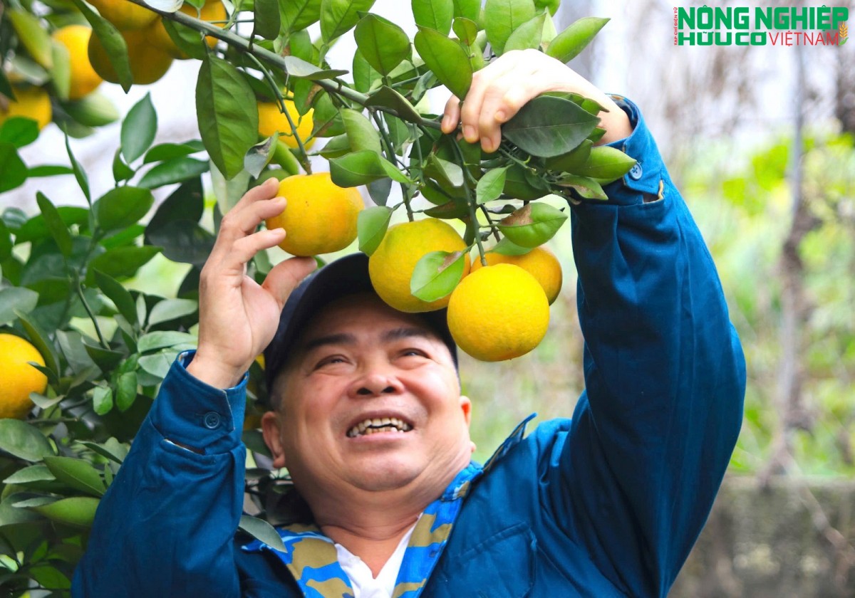 Nghệ An thúc đẩy phát triển nông nghiệp hữu cơ toàn diện