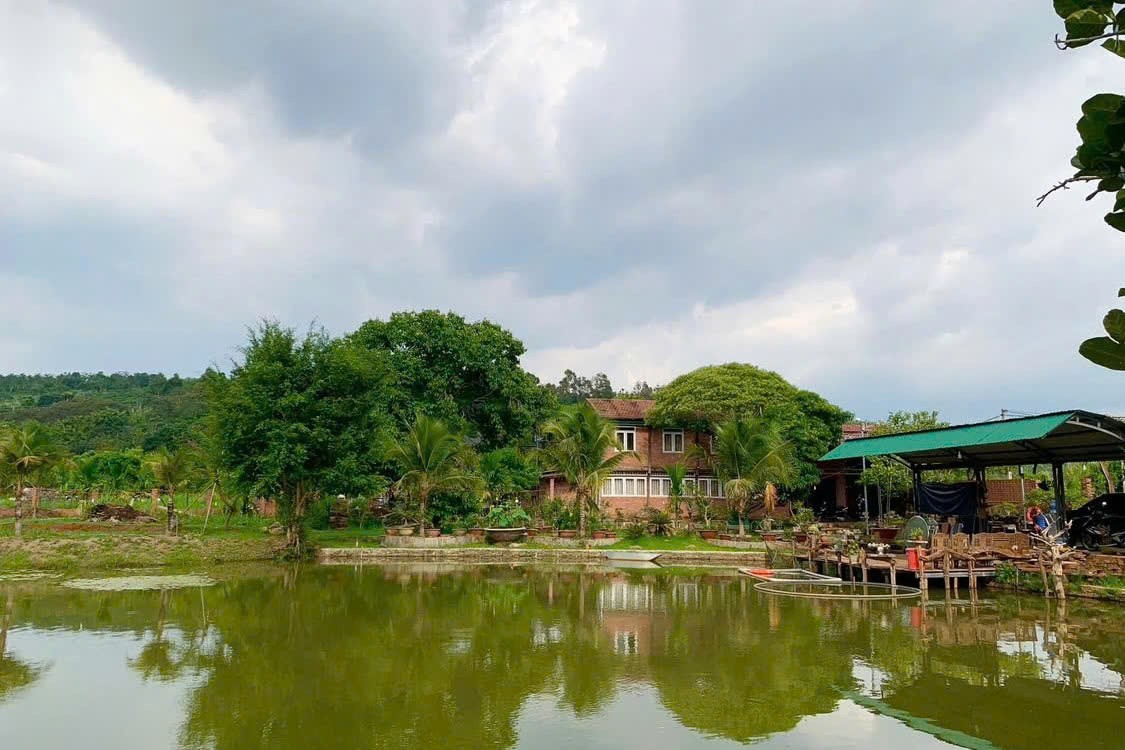 Tăng cường giải pháp điều hòa nguồn nước, phòng chống ngập úng và bảo vệ môi trường
