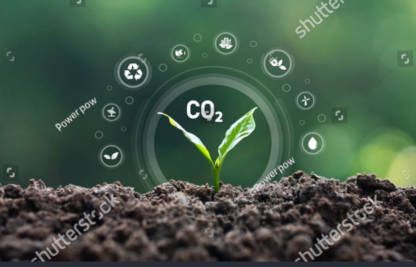 Vết Carbon: Tầm quan trọng và Giải pháp giảm thiểu