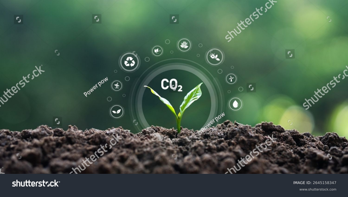 Vết Carbon: Tầm quan trọng và Giải pháp giảm thiểu