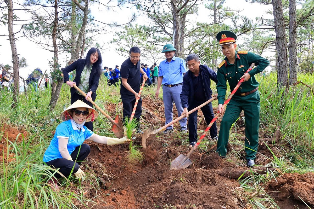 Kiểm tra công tác trồng cây xanh và hoa chào mừng Đại hội Đảng bộ tỉnh Lâm Đồng lần thứ I