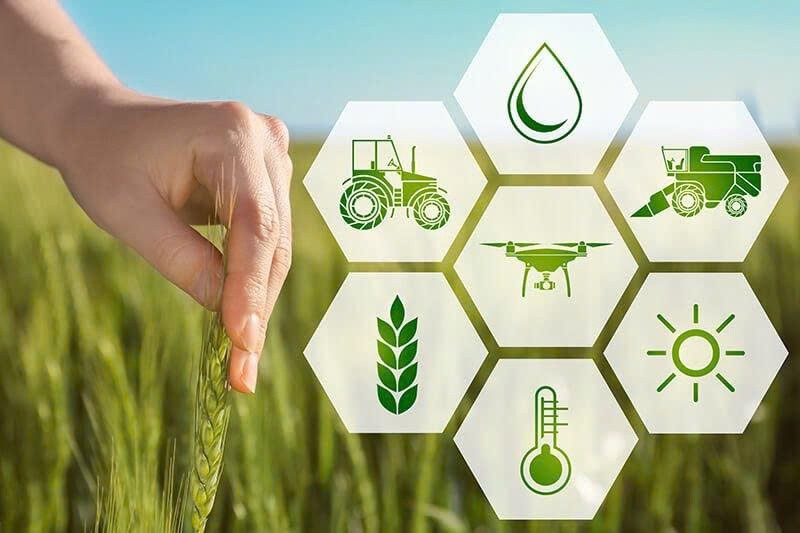 Đồng Nai đẩy mạnh chuyển đổi số trong nông nghiệp, nông thôn