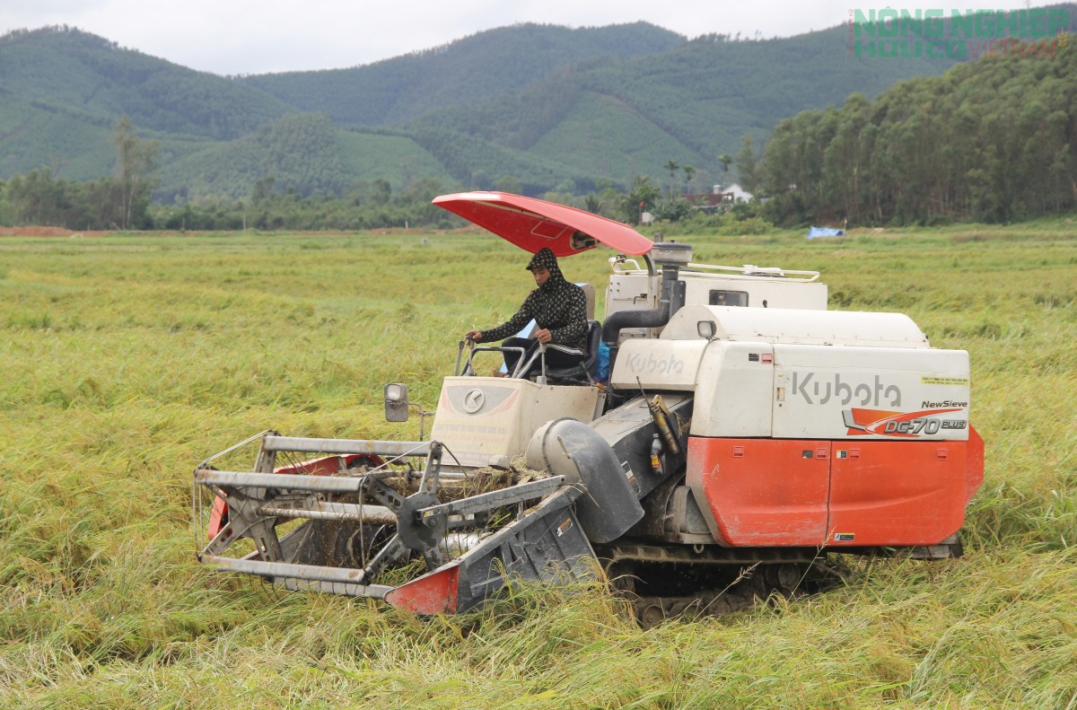 Nghệ An cấm biển, chủ động ứng phó với bão số 10 - Bualoi