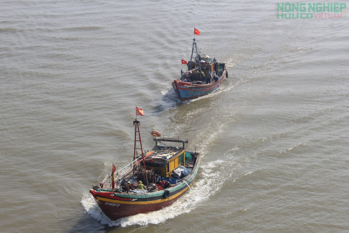 Nghệ An cấm biển, chủ động ứng phó với bão số 10 - Bualoi