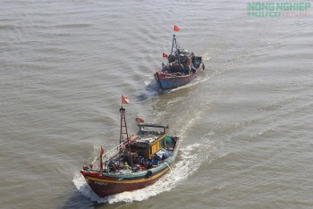 Nghệ An cấm biển, chủ động ứng phó với bão số 10 - Bualoi