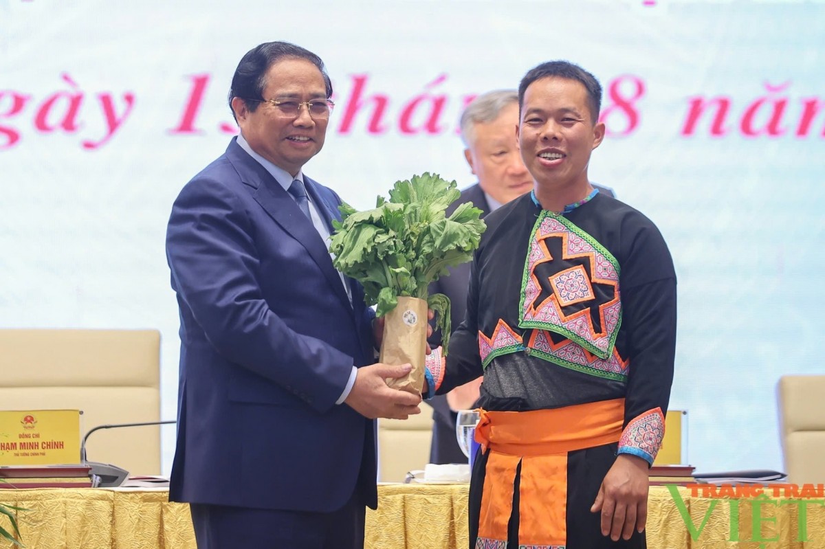 Nông nghiệp hữu cơ – Hướng đi bền vững cho nông dân trẻ
