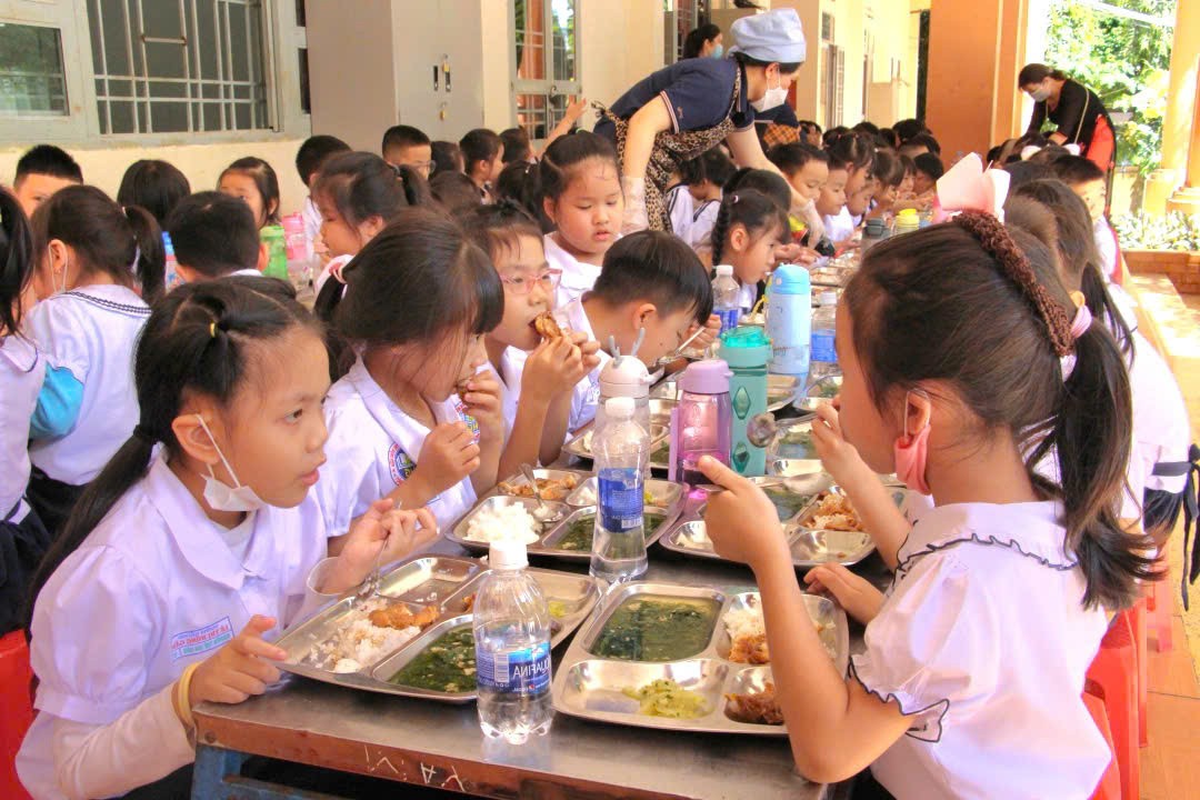 Tăng cường bảo đảm an toàn thực phẩm trong trường học trên địa bàn tỉnh Đắk Lắk