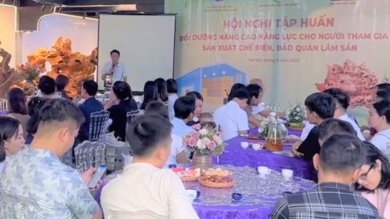 Ứng dụng công nghệ trong bảo quản lâm sản
