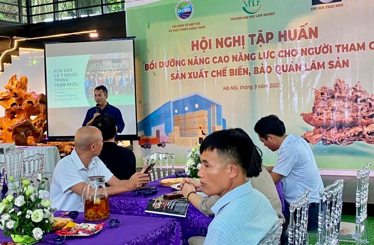 Ứng dụng công nghệ trong bảo quản lâm sản