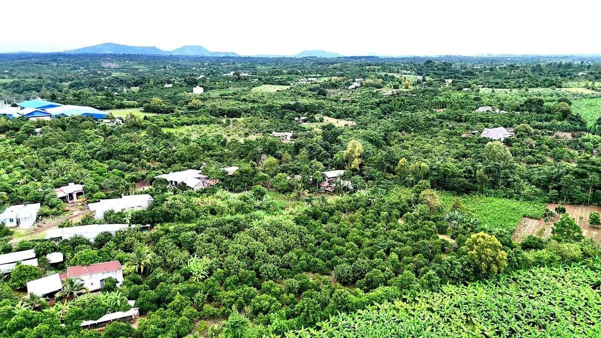 Đồng Nai sau sáp nhập: 