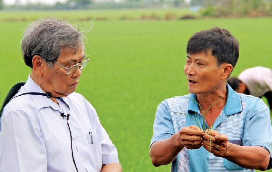 GS.TS U90 dành cả đời “ra đồng” để phát triển cây lúa và phân bón