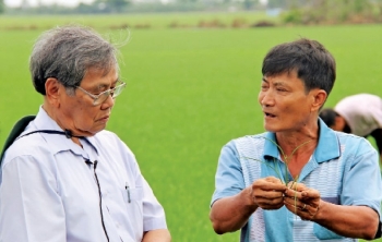 GS.TS U90 dành cả đời “ra đồng” để phát triển cây lúa và phân bón