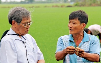 GS.TS U90 dành cả đời “ra đồng” để phát triển cây lúa và phân bón