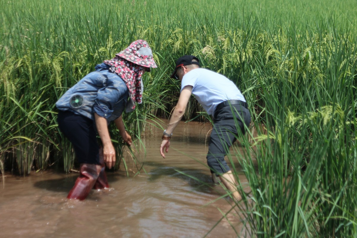 Hành trình chuyển đổi nông nghiệp truyền thống sang nông nghiệp hữu cơ