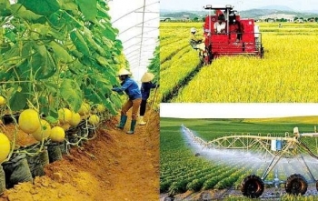Phát triển nông nghiệp bền vững ở Đồng Nai: "Con đường" tất yếu từ hữu cơ đến công nghệ cao