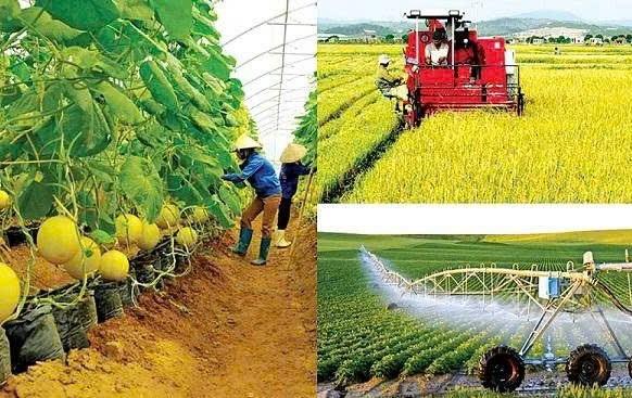 Phát triển nông nghiệp bền vững ở Đồng Nai: "Con đường" tất yếu từ hữu cơ đến công nghệ cao