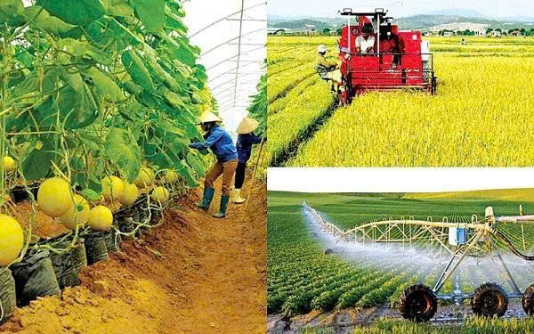 Phát triển nông nghiệp bền vững ở Đồng Nai: 