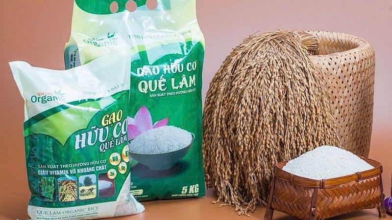 “Xanh hóa” việc trồng lúa - Hướng đi bền vững cho gạo Việt