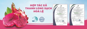 Lâm Đồng nâng cao hiệu quả mô hình hợp tác xã nông nghiệp