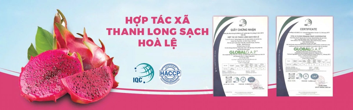 Lâm Đồng nâng cao hiệu quả mô hình hợp tác xã nông nghiệp