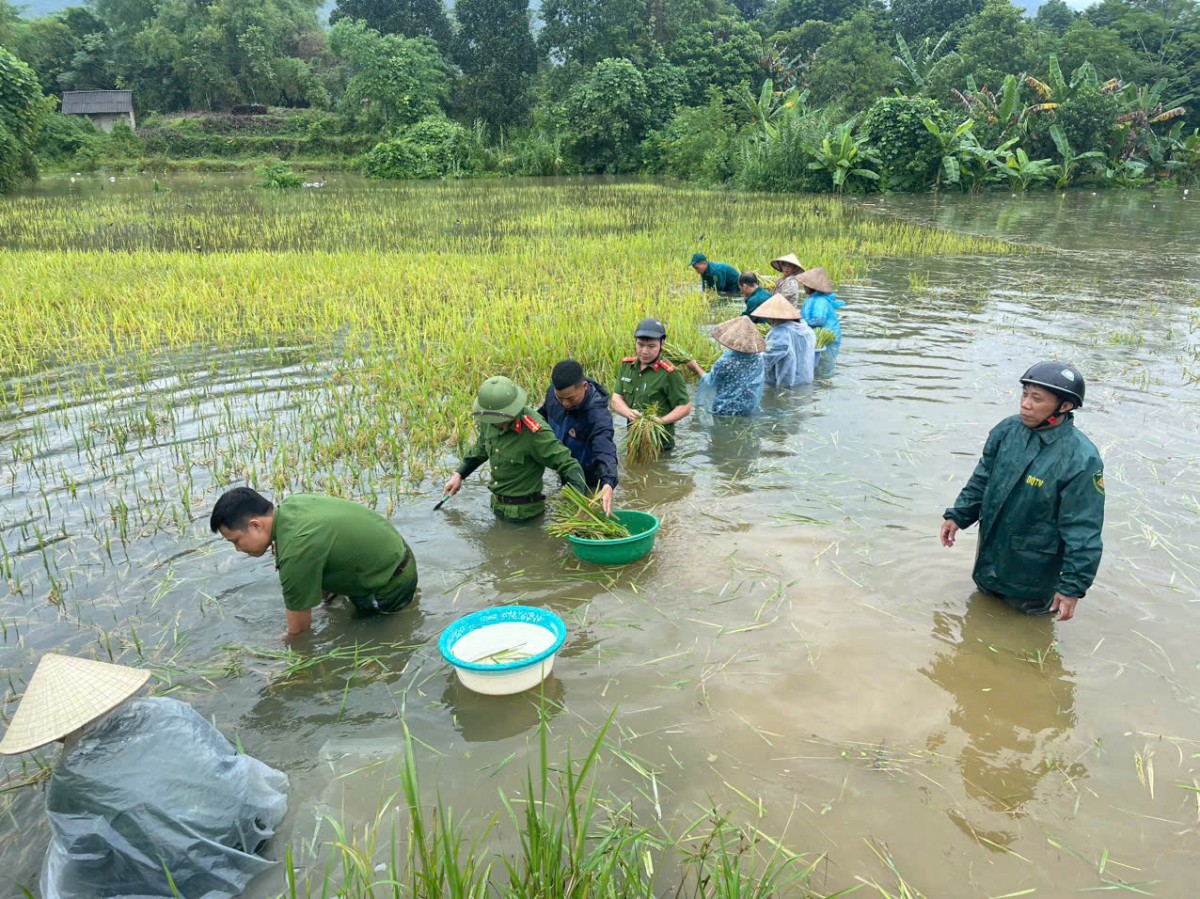 Thủ tướng yêu cầu huy động tối đa lực lượng khắc phục nhanh nhất hậu quả bão, mưa lũ