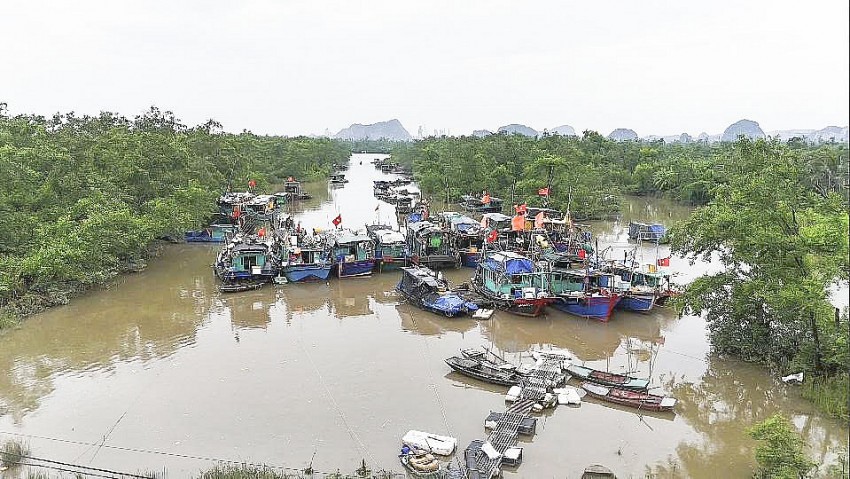 Tàu thuyền của ngư dân vào neo đậu tại Âu thuyền tránh trú bão khu Núi Gạc.