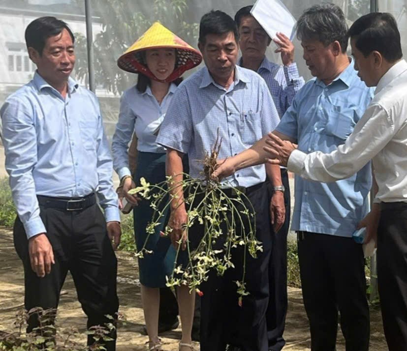 Đắk Lắk: Giới thiệu quy trình ứng dụng công nghệ cao trong nông nghiệp