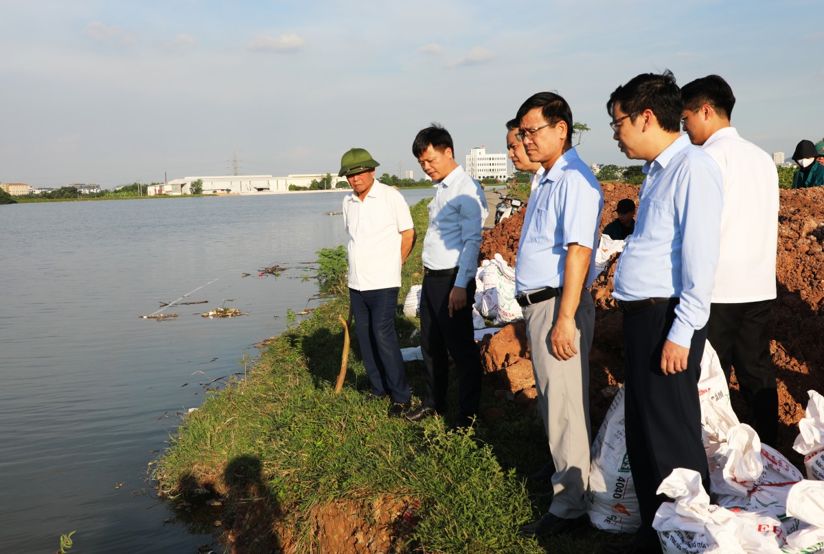 Bắc Ninh khẩn trương khắc phục sạt lở bờ đê sông Ngũ Huyện Khê