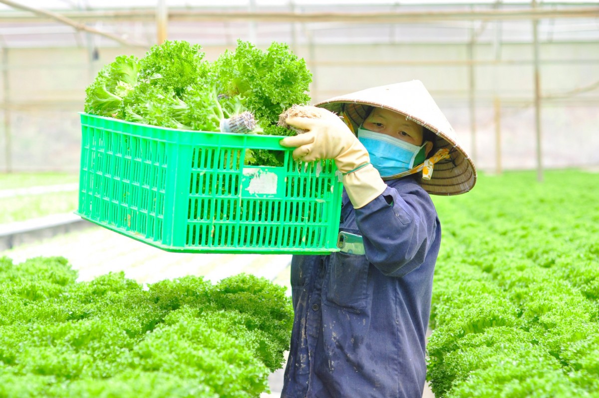 Bổ sung chính sách tín dụng khuyến khích nông nghiệp hữu cơ, tuần hoàn