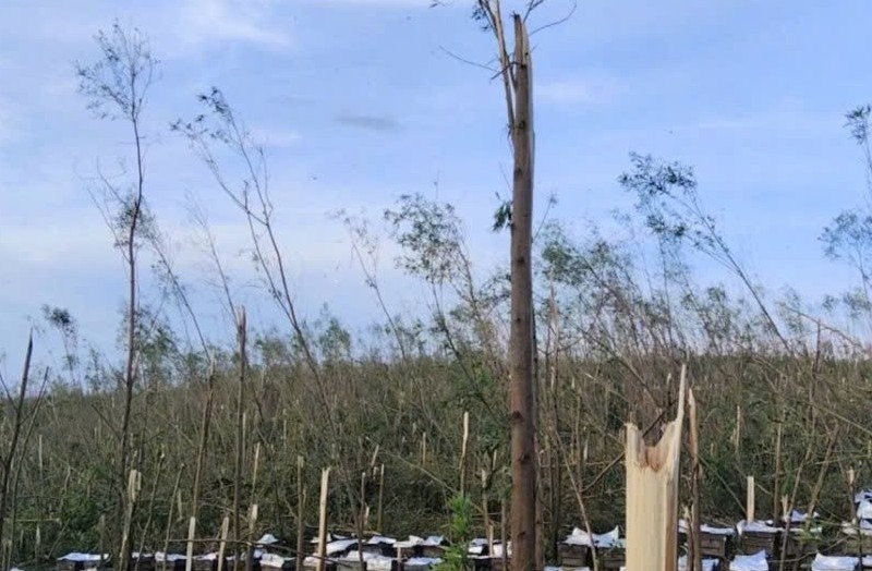 Bão lũ qua đi, nước mắt ở lại: Giải pháp nào cho người nông dân?