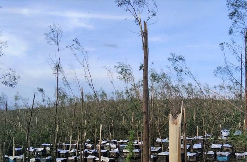 Bão lũ qua đi, nước mắt ở lại: Giải pháp nào cho người nông dân?