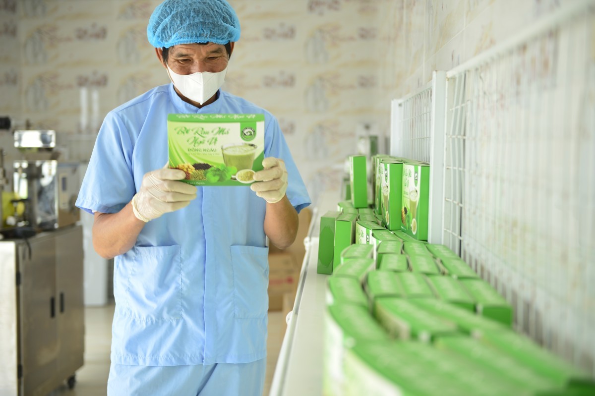 Nâng tầm cây rau má bản địa bằng nhiều sản phẩm bổ ích