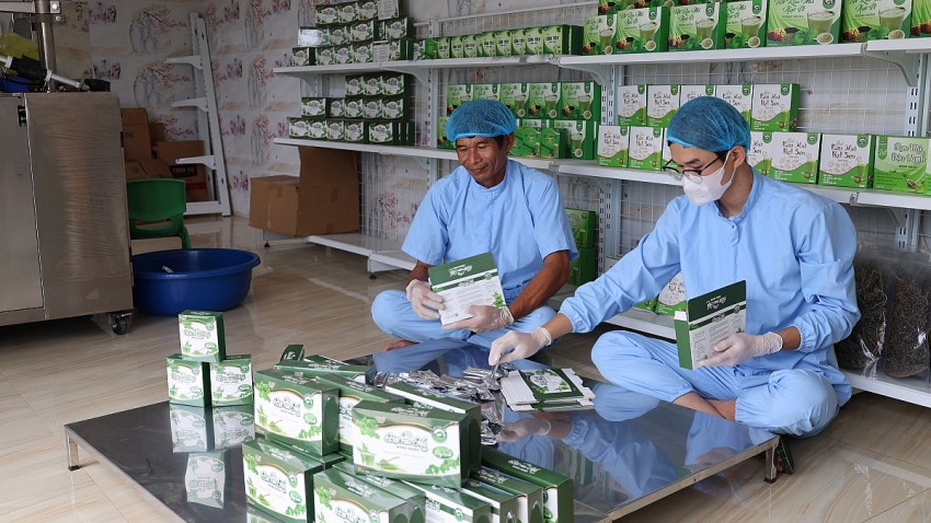 Hiện HTX Đồng Ngâu đang có 5 sản phẩm được chế biến từ cây rau má. 