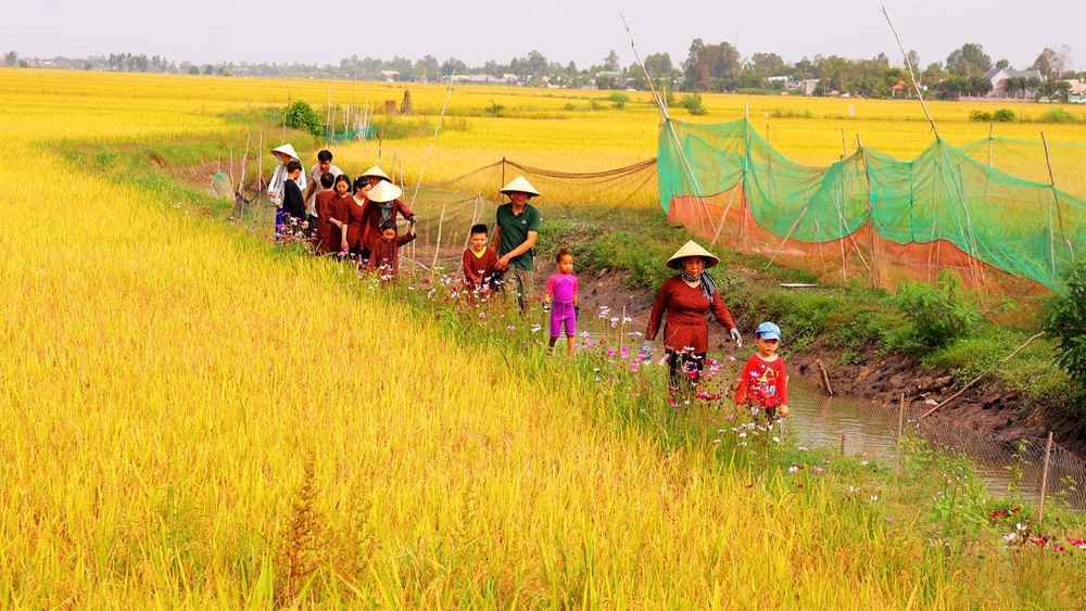 Nông nghiệp sinh thái là cách chúng ta lắng nghe và tôn trọng thiên nhiên