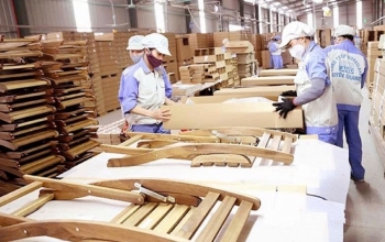 Lâm Đồng tăng cường phòng chống hàng giả trong lĩnh vực lâm nghiệp