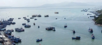 Quyết tâm chống khai thác IUU, nhằm gỡ cảnh báo "thẻ vàng" của Ủy ban châu Âu