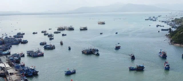 Quyết tâm chống khai thác IUU, nhằm gỡ cảnh báo "thẻ vàng" của Ủy ban châu Âu
