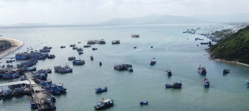 Quyết tâm chống khai thác IUU, nhằm gỡ cảnh báo 