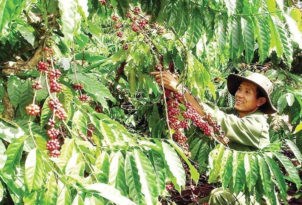 Lâm Đồng: Xã Đức Lập bứt phá phát triển nông nghiệp công nghệ cao