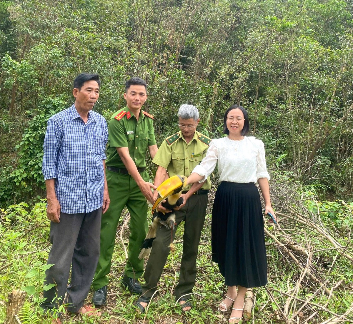 Nghệ An: Chim hồng hoàng quý hiếm bay vào nhà dân được thả về tự nhiên