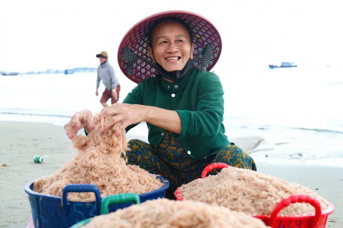 Niềm vui của ngư dân xã Tịnh Khê (TP. Quảng Ngãi) trong những ngày trúng đậm mùa ruốc.