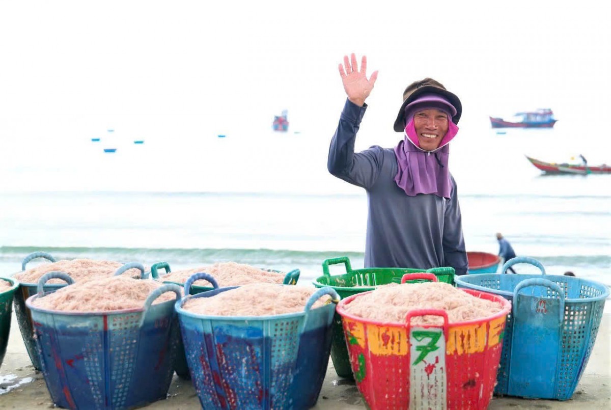 Sau chuyến biển sớm, ngư dân Tịnh Khê rạng rỡ bên những rổ ruốc đầy ắp, báo hiệu một vụ mùa bội thu ở vùng biển Quảng Ngãi.