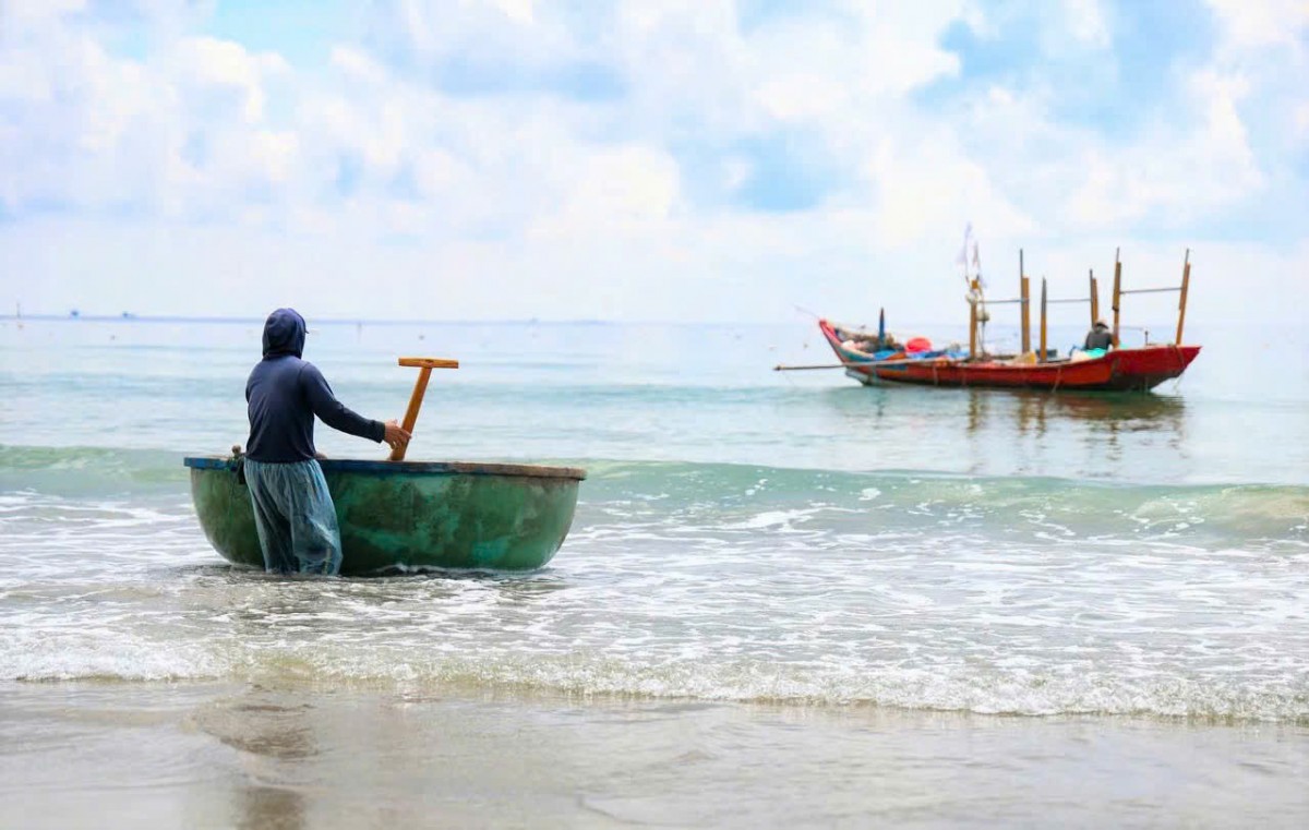 Ngư dân Quảng Ngãi chèo thuyền thúng ra khơi đánh ruốc đầu mùa, mở đầu vụ biển bội thu.